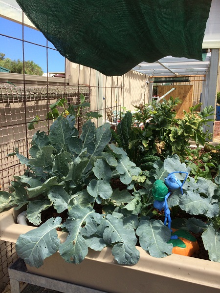 IMG_2013 resized.jpg