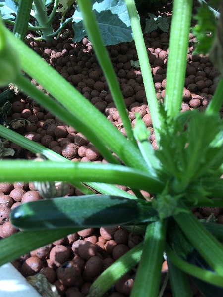 IMG_2011 resized.jpg