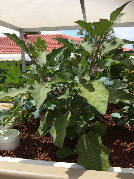 IMG_2012 resized.jpg