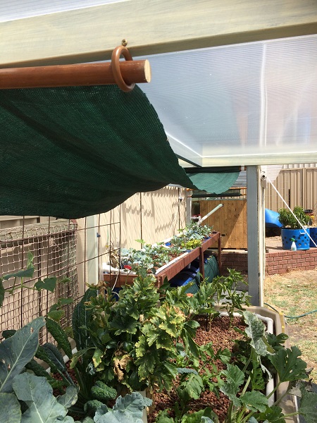 IMG_2014 resized.jpg