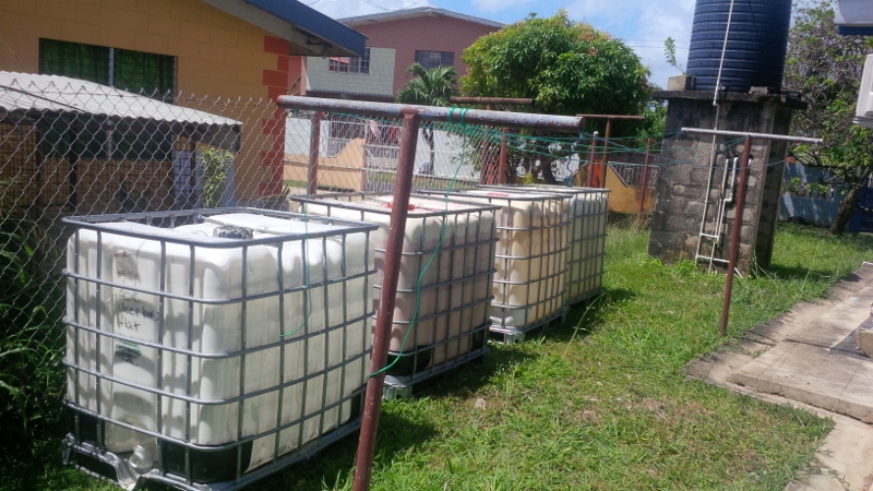 IMG_20150221_113025 (800x450).jpg