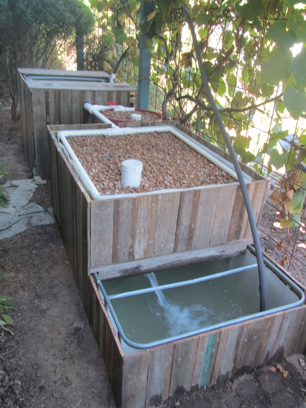 Stage 1 - The Fish Farm.jpg