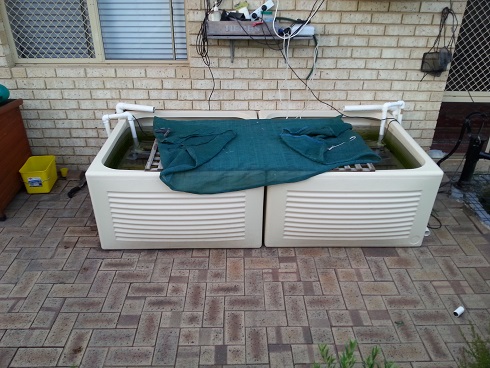 20150223_184225 small.jpg