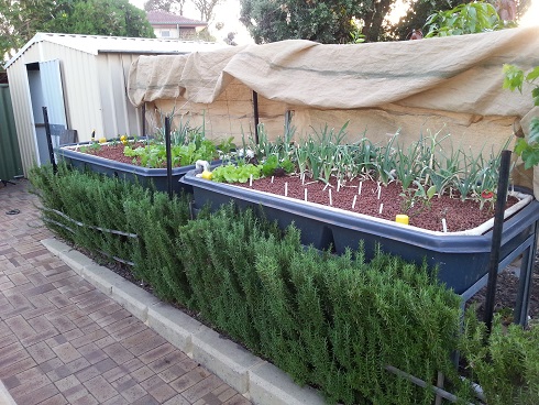 20150223_184232 small.jpg