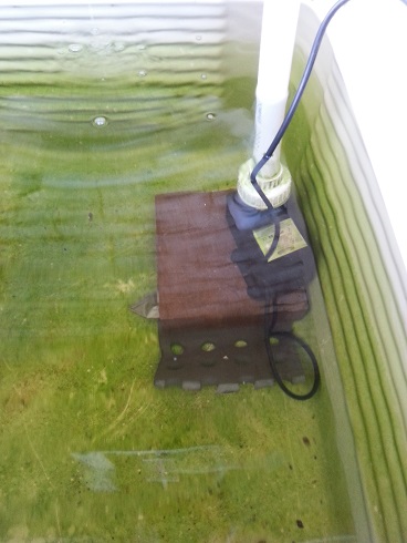 20150223_184303 small.jpg