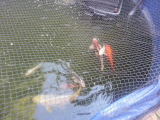 2015-02-03 16.10.21s.jpg