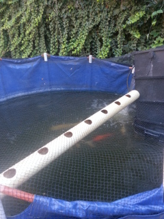 2015-02-03 17.57.15s.jpg