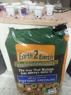 2015-02-03 17.58.57s.jpg