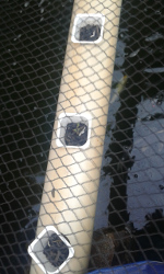 2015-02-11 17.10.39s.jpg