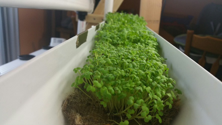 2015-02-28 11.59.24.jpg