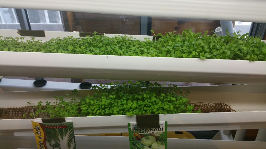 2015-02-28 12.00.28.jpg