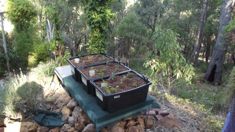 Saffi party age 3 059.JPG