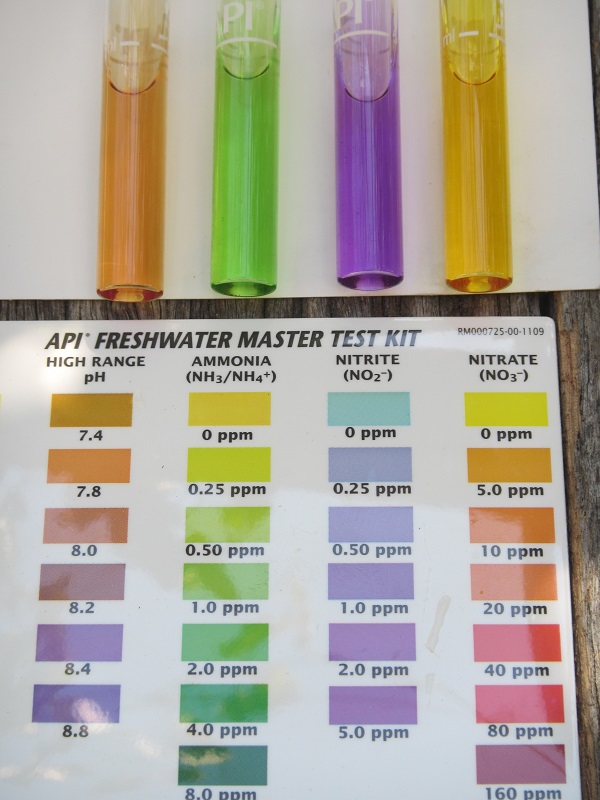 Water test on 4 March 2015.jpg