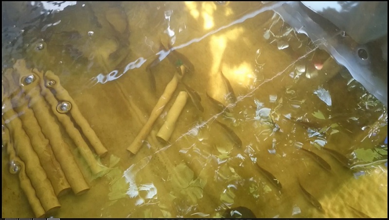 Batch 1 04.03.15 (01) - Copy.jpg