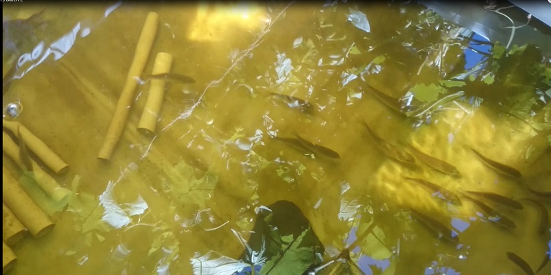 Batch 1 04.03.15 (02) - Copy.jpg