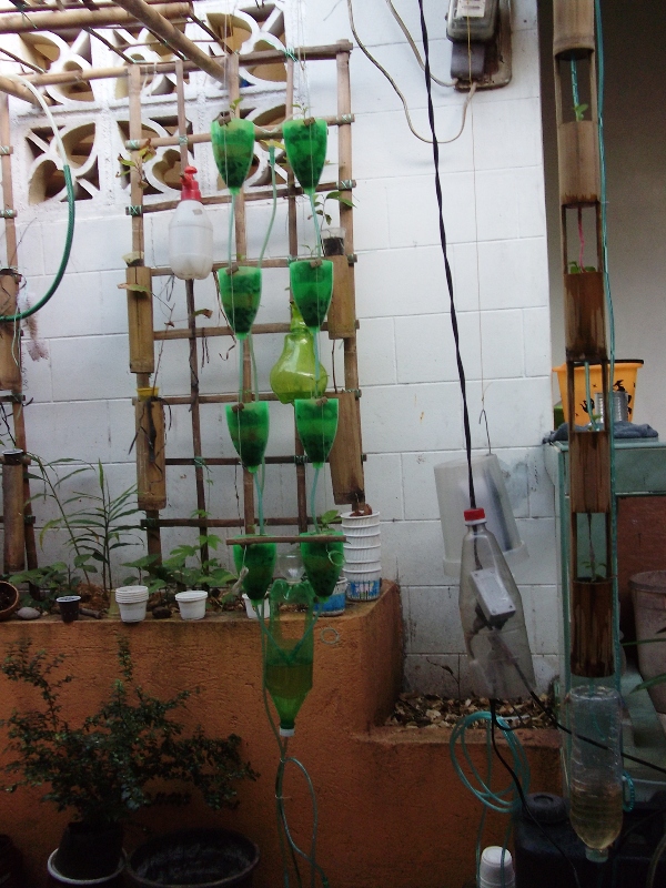 MyAquaponics 022.jpg