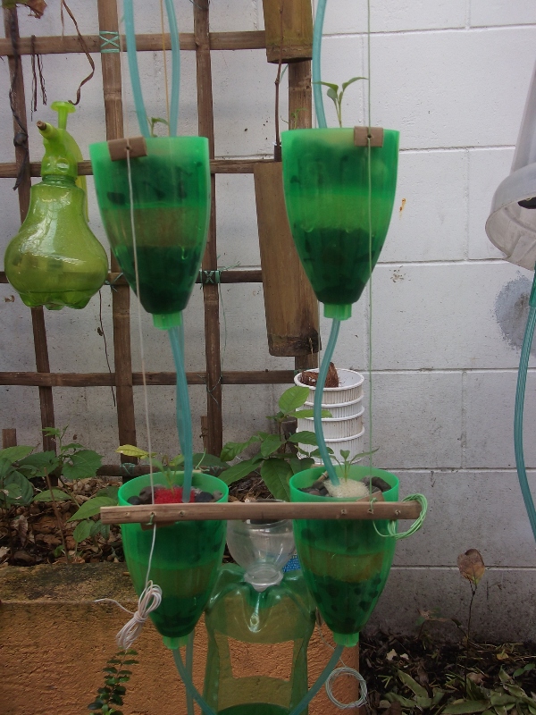 MyAquaponics 010.jpg