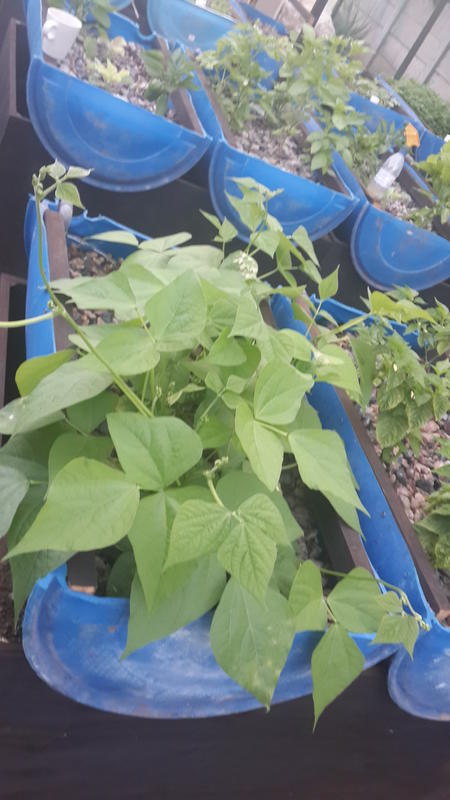 2015-03-06 06.19.20.jpg