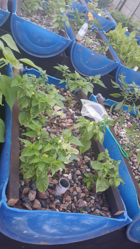 2015-03-06 06.19.25.jpg