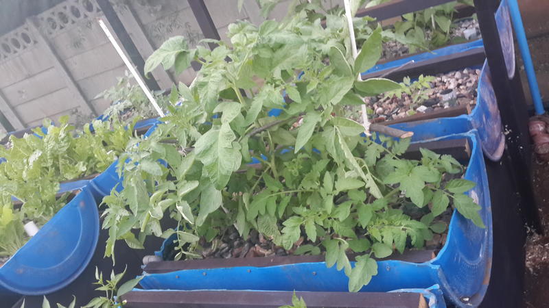 2015-03-06 06.19.30.jpg