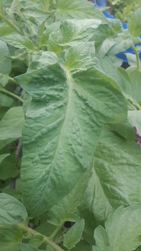 2015-03-06 06.19.45.jpg