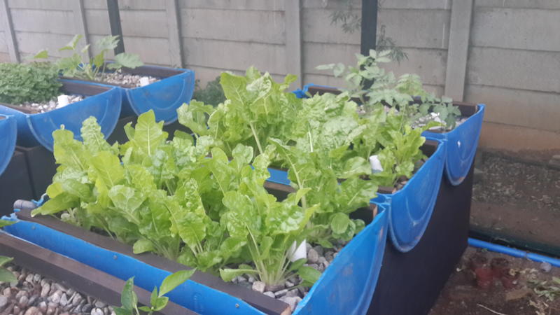 2015-03-06 06.20.09.jpg