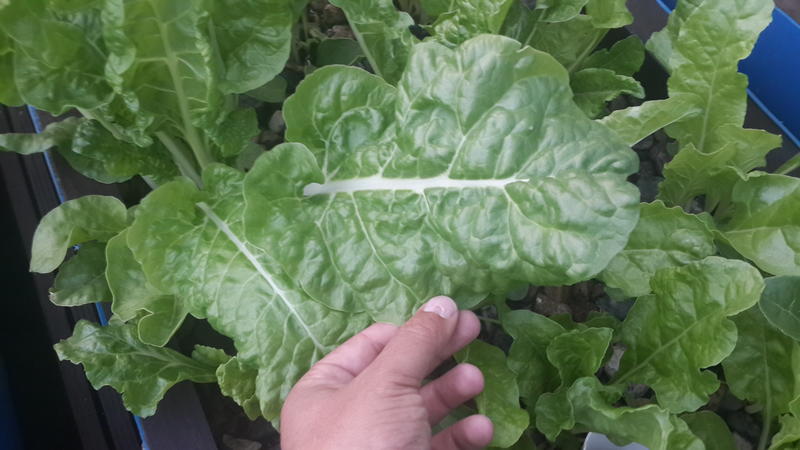 2015-03-06 06.20.33.jpg