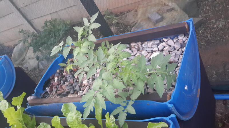 2015-03-06 06.20.40.jpg