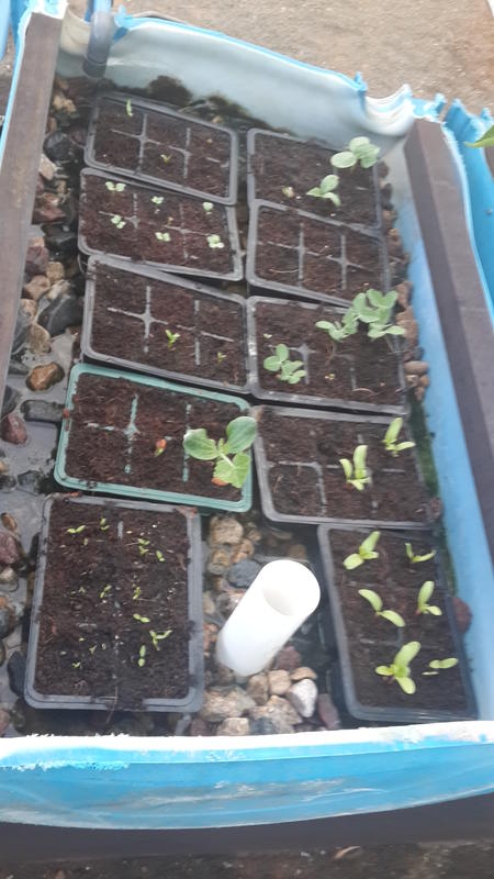 2015-03-06 06.20.48.jpg