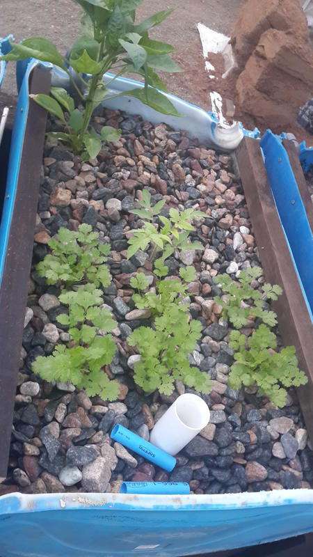 2015-03-06 06.20.53.jpg