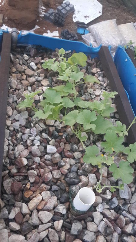 2015-03-06 06.20.59.jpg