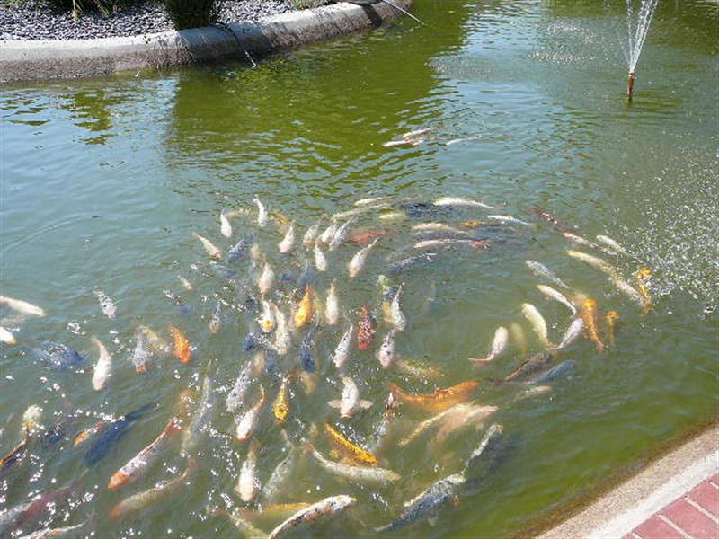 Lumix 035 (Medium).jpg