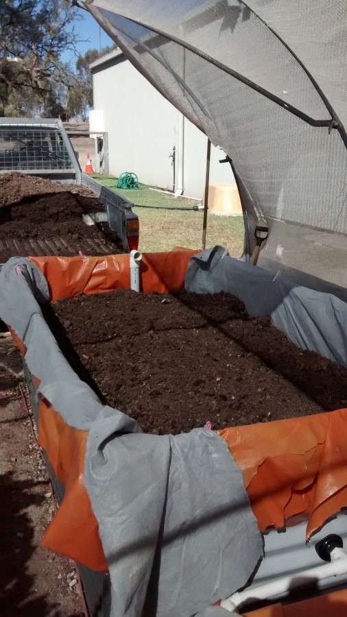 IMG_20150307_162150849 (Custom).jpg