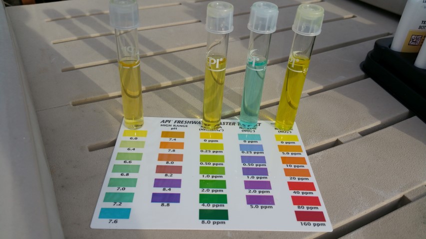 20150313_174222 (Small).jpg