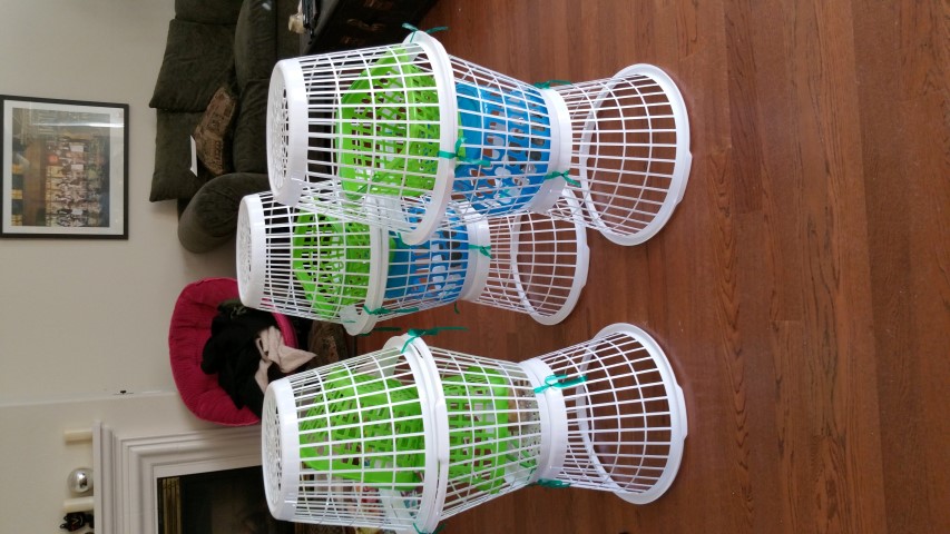 20150314_132806 (Small).jpg