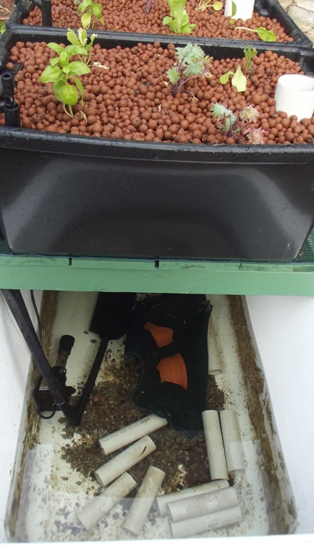 16th march 15 004.JPG