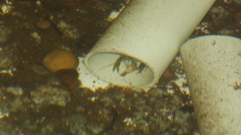 16th march 15 002.JPG