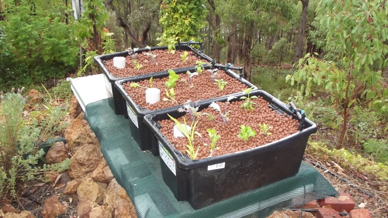 16th march 15 007.JPG