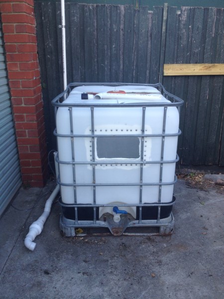 IMG_3861 (450 x 600).jpg