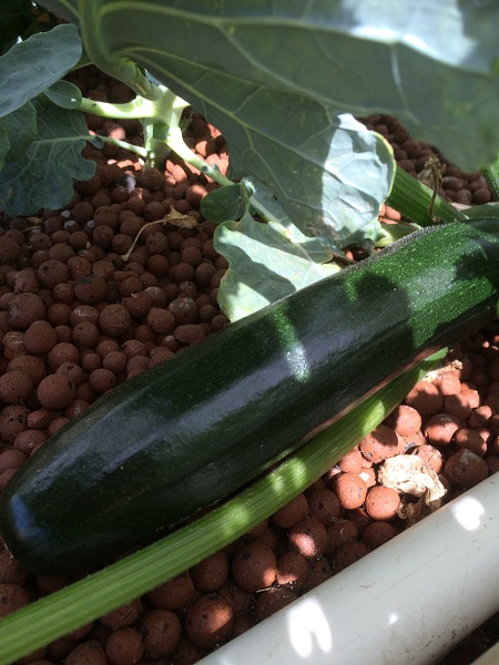 IMG_2047 resized.jpg