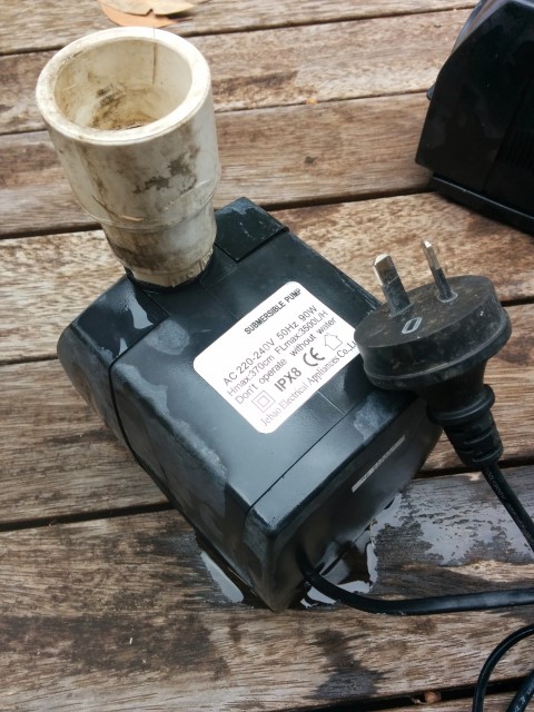 IMG_20150321_093939 (Small).jpg