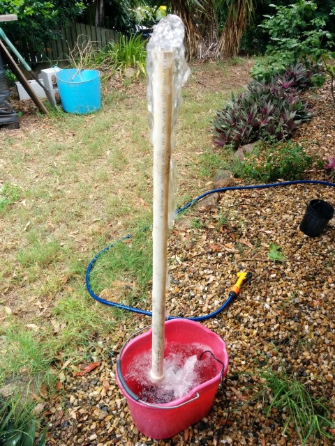 IMG_20150321_093657 (Small).jpg