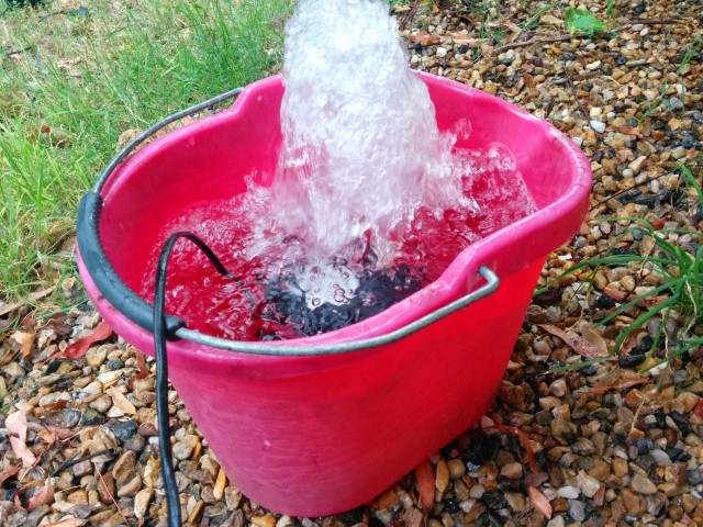 IMG_20150321_093159 (Small).jpg