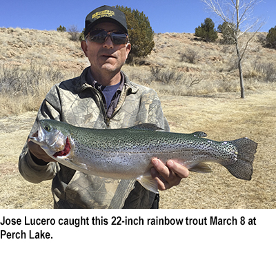 fishing-report-Perch-Lake-trout-03_17_2015.jpg