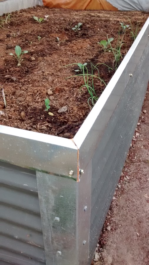 IMG_20150328_154448351 (Custom).jpg