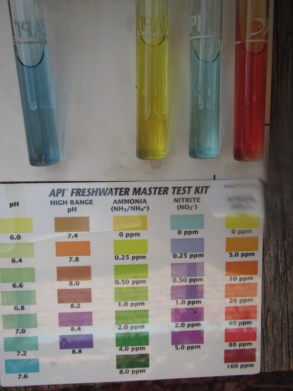 Water test before trout - pH 7.4, NH3 0, NO2 0, NO3 20 - 28 March 2015.jpg