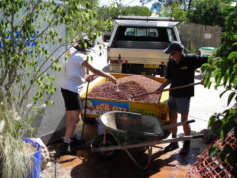 DSCN0177 (Medium).JPG