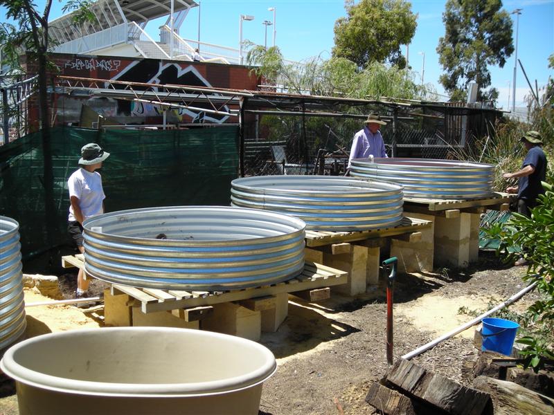 DSCN0167 (Medium).JPG