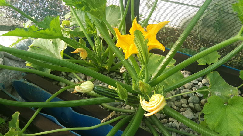 2015-03-29 08.35.45.jpg