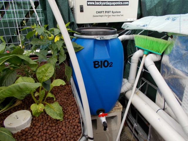 DSCN0342 (Small).JPG